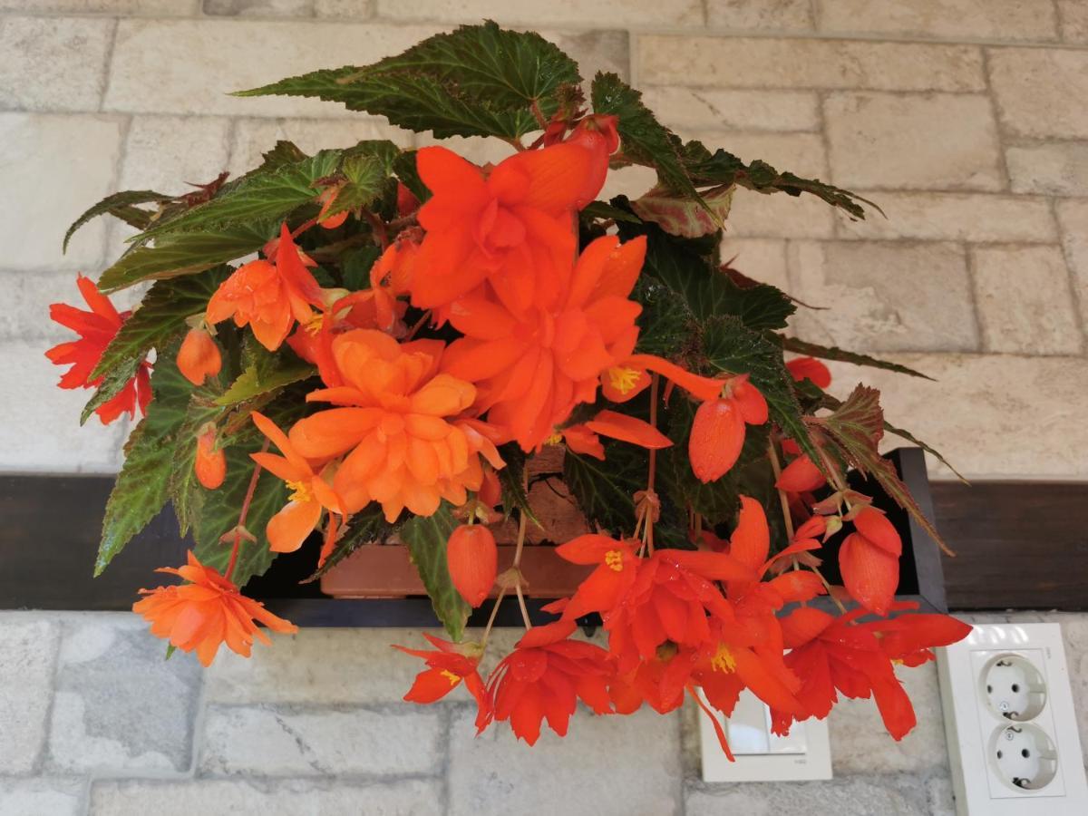 קאזאנלק Rose Valley Guest House מראה חיצוני תמונה